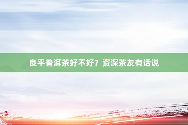 良平普洱茶好不好？资深茶友有话说